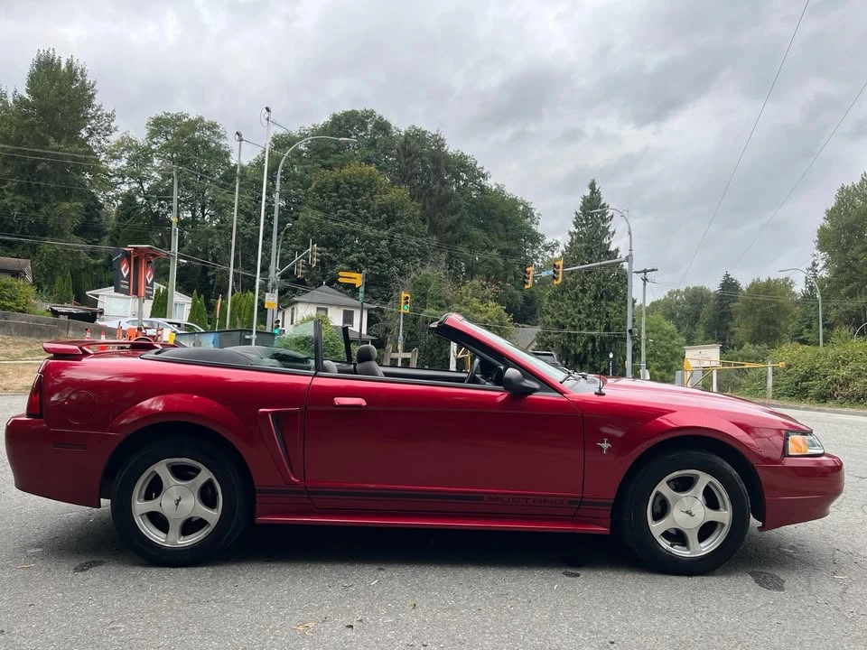 2001 Ford SN95 Mustang - Image 4 of 15