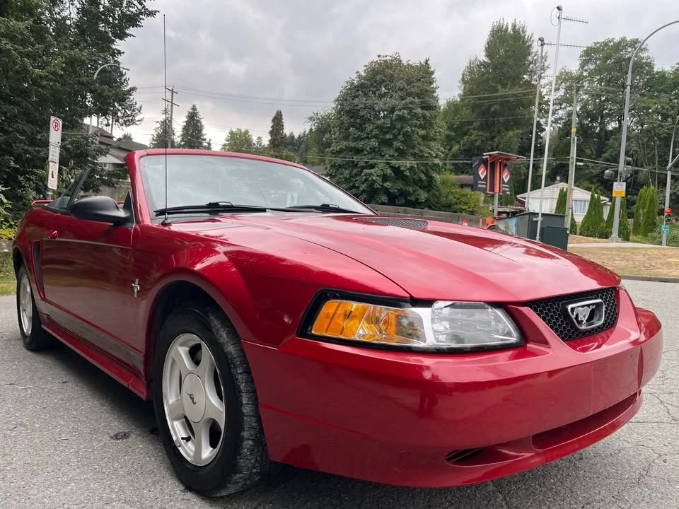 2001 Ford SN95 Mustang - Image 5 of 15