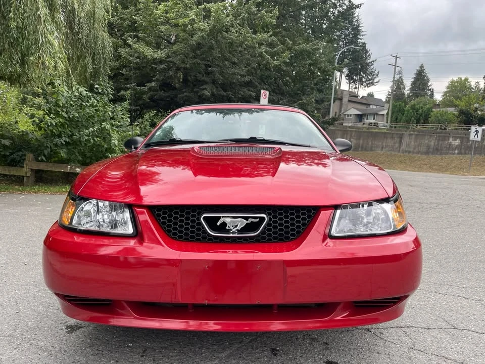 2001 Ford SN95 Mustang - Image 6 of 15