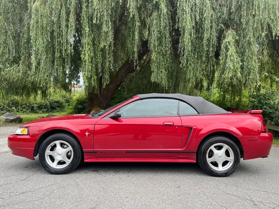 2001 Ford SN95 Mustang - Image 2 of 15