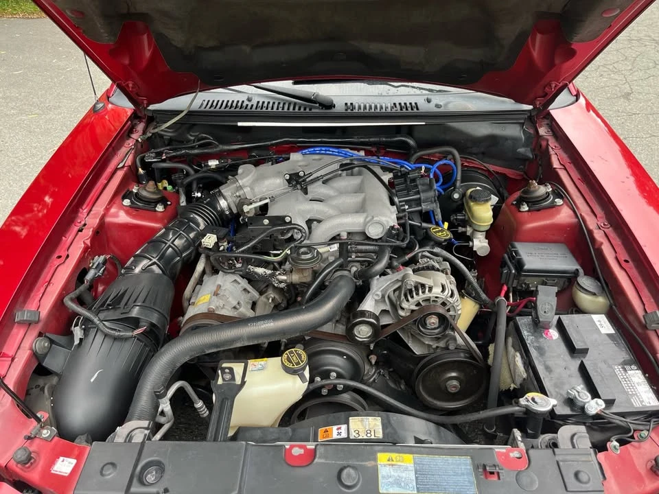 2001 Ford SN95 Mustang - Image 15 of 15