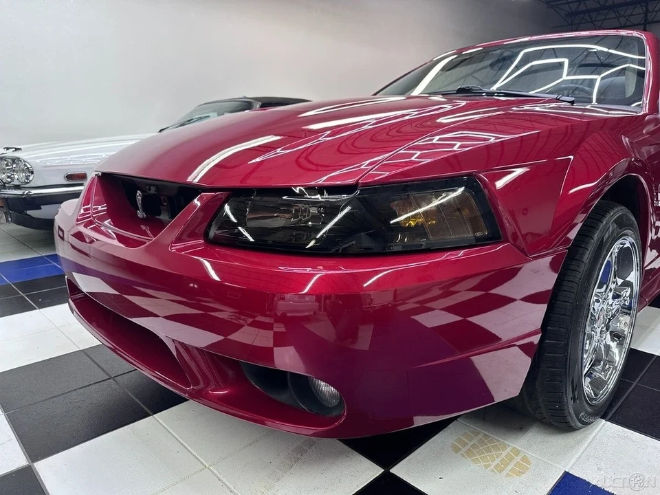 2001 Ford SN95 Mustang Cobra - Image 8 of 21