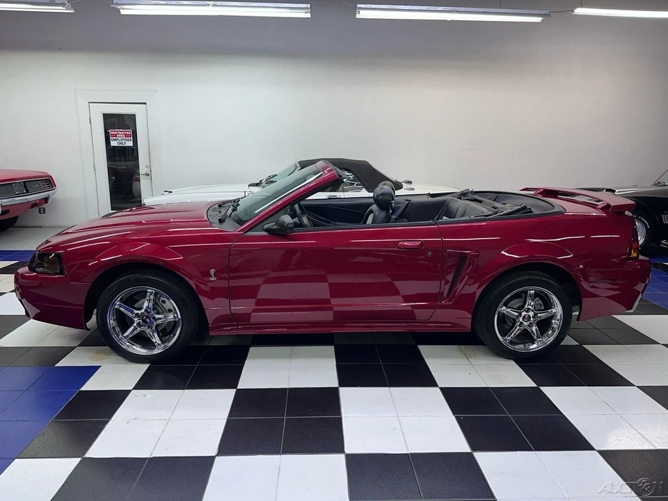 2001 Ford SN95 Mustang Cobra - Image 13 of 24