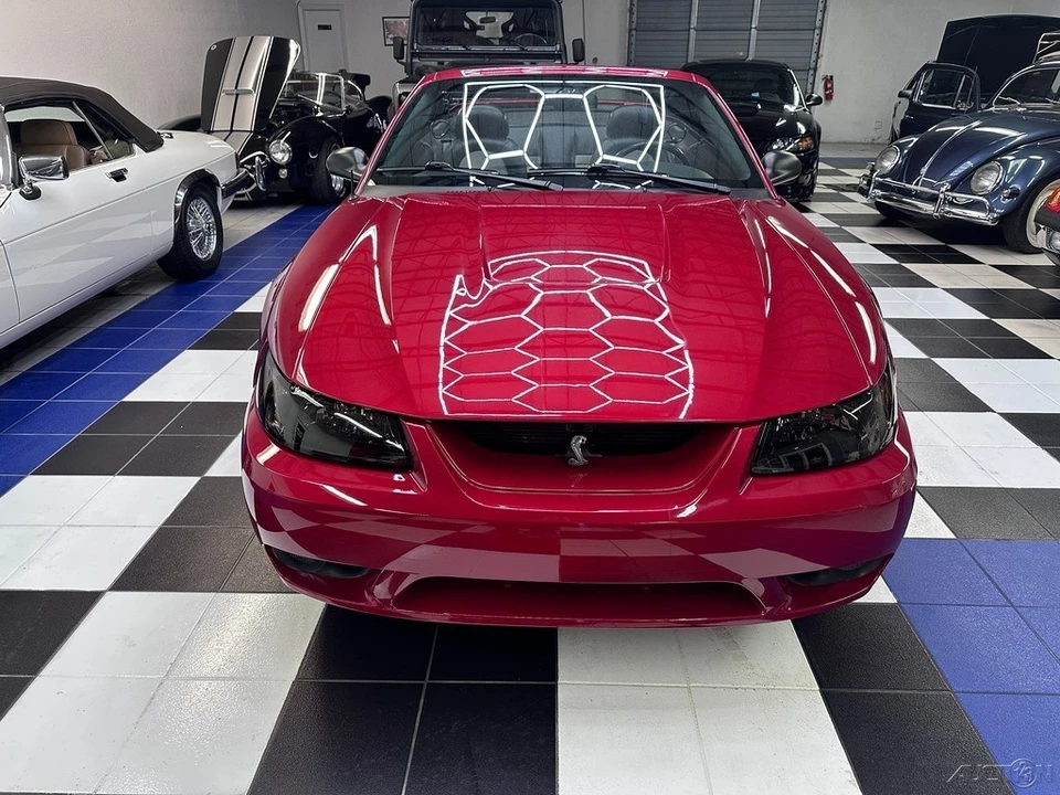 2001 Ford SN95 Mustang Cobra - Image 5 of 24