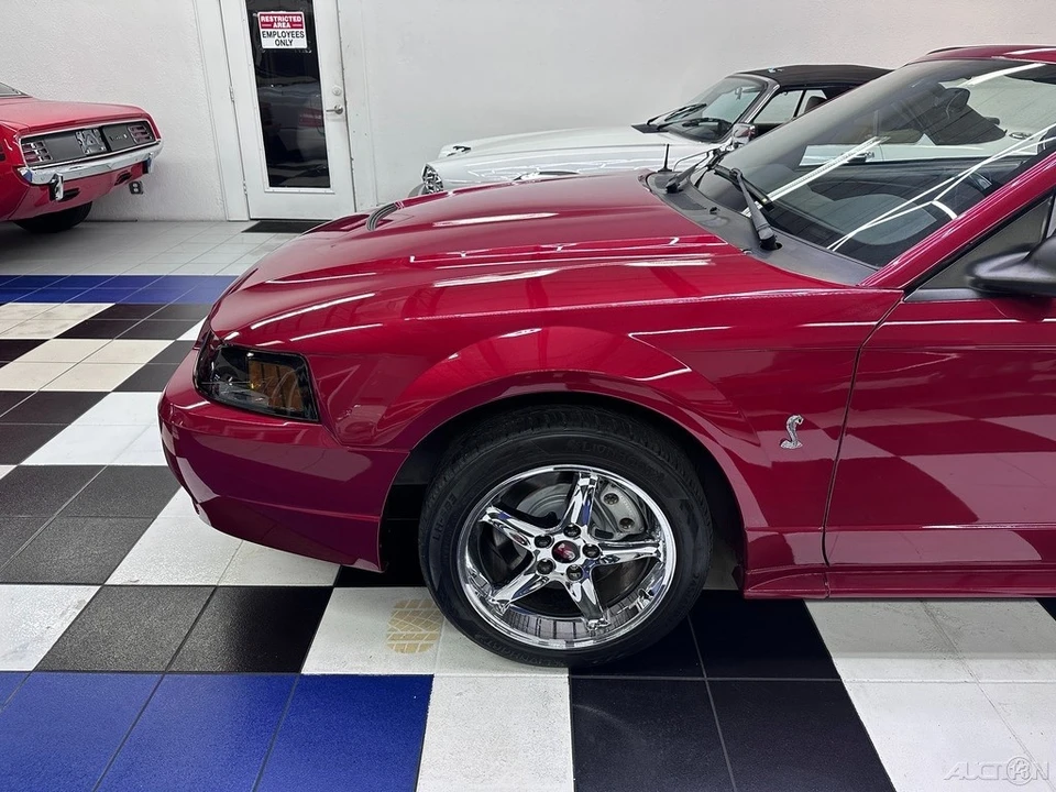 2001 Ford SN95 Mustang Cobra - Image 9 of 24