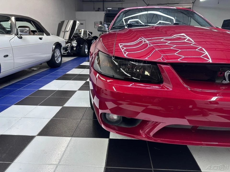 2001 Ford SN95 Mustang Cobra - Image 4 of 24