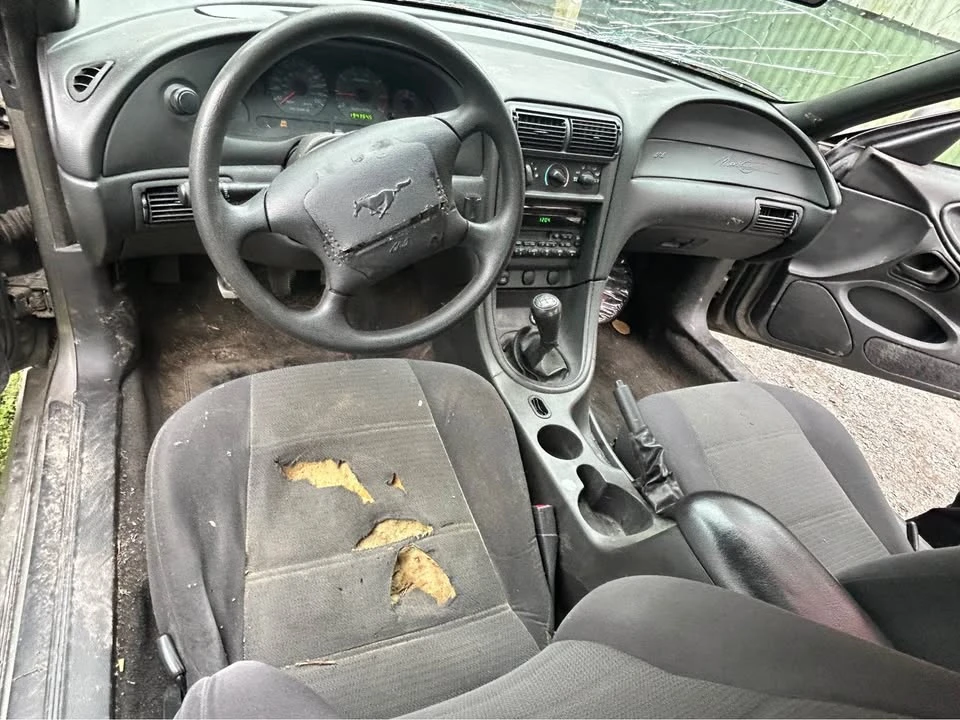 2001 Ford SN95 Mustang - Image 3 of 6