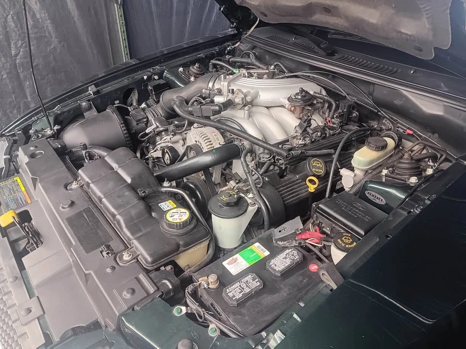 2001 Ford SN95 Mustang - Image 11 of 16