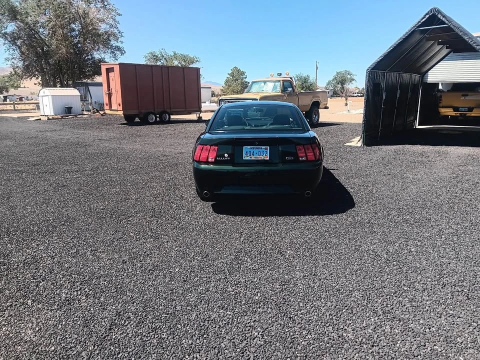 2001 Ford SN95 Mustang - Image 7 of 16