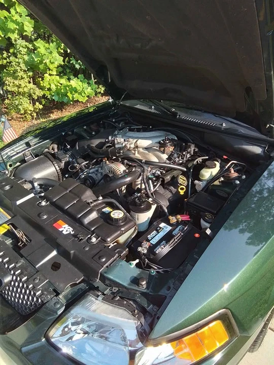 2001 Ford SN95 Mustang - Image 3 of 11
