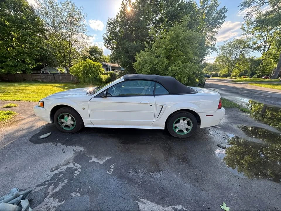 2001 Ford SN95 Mustang - Image 2 of 17