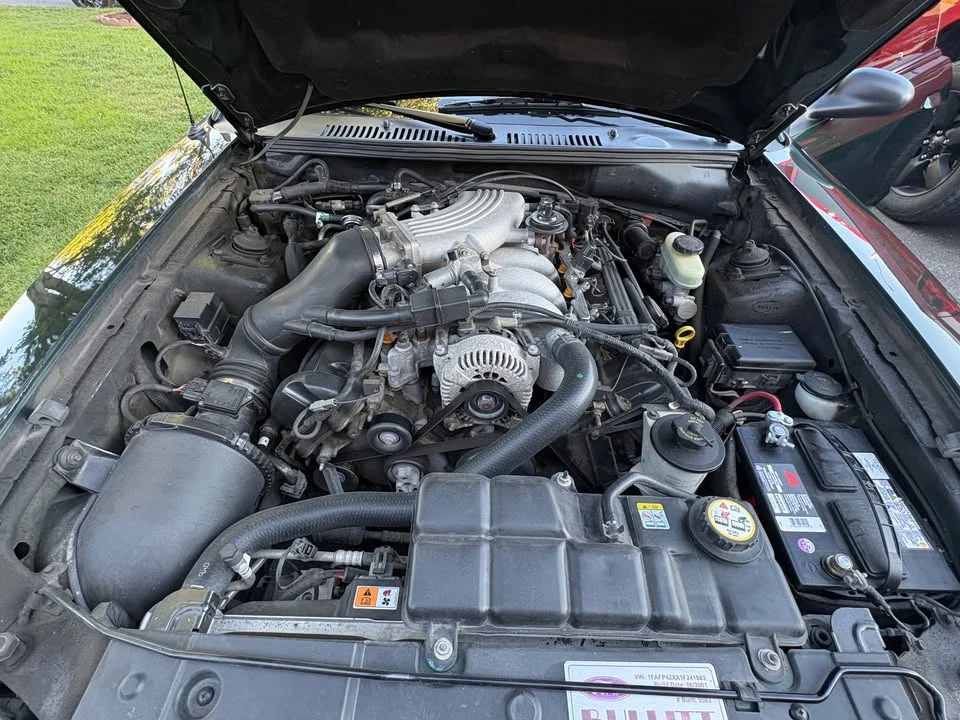 2001 Ford SN95 Mustang - Image 7 of 9