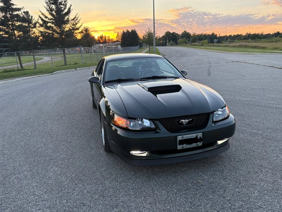 2001 Ford SN95 Mustang - Image 3 of 9