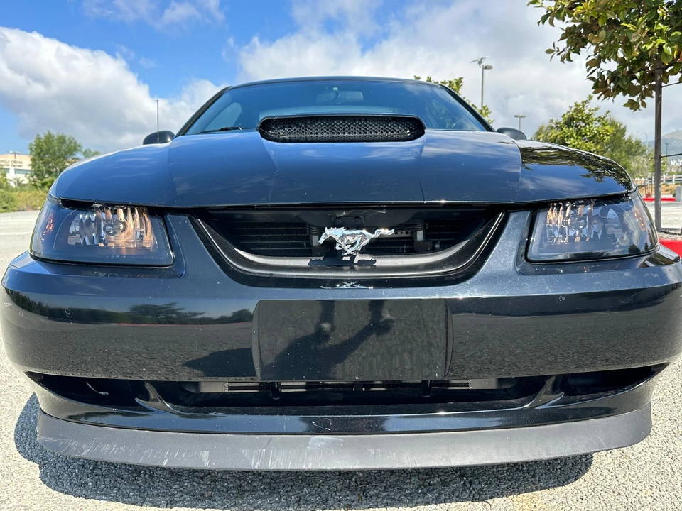 2001 Ford SN95 Mustang - Image 7 of 31