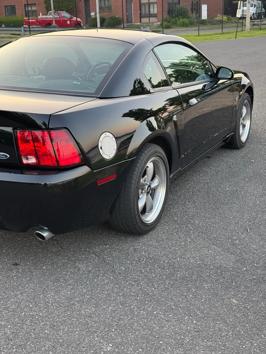 2001 Ford SN95 Mustang - Image 23 of 31