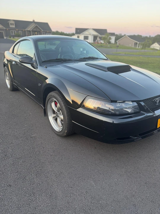 2001 Ford SN95 Mustang - Image 9 of 31