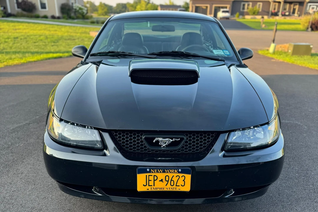2001 Ford SN95 Mustang - Image 6 of 31