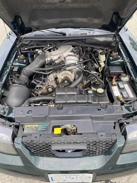 2001 Ford Mustang - Image 8 of 18