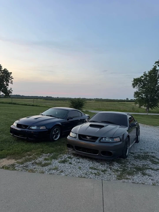 2001 Ford SN95 Mustang - Image 7 of 7