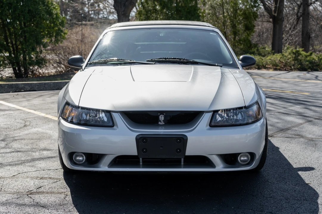 2001 Ford SN95 Mustang Cobra - Image 8 of 31