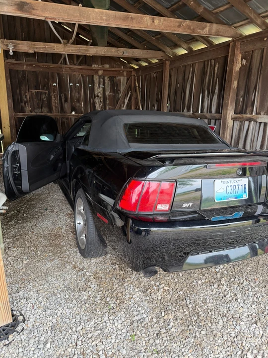 2001 Ford SN95 Mustang Cobra - Image 5 of 6