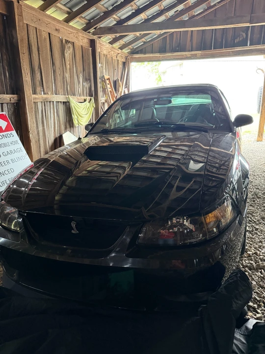 2001 Ford SN95 Mustang Cobra - Image 2 of 6