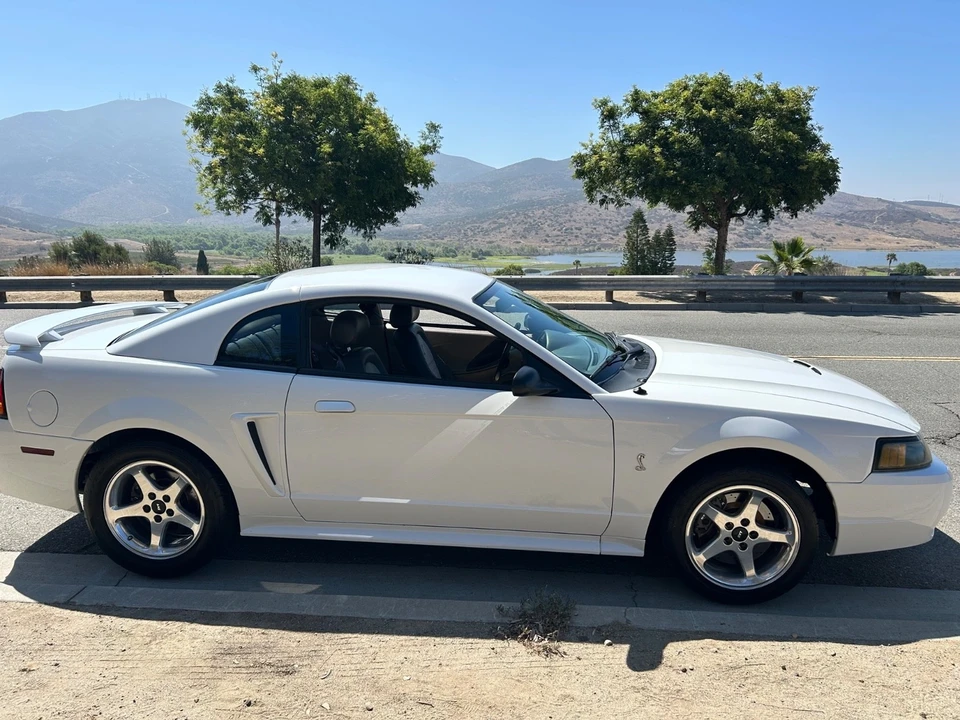 2001 Ford SN95 Mustang Cobra - Image 16 of 21