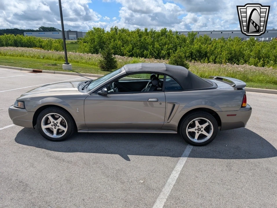 2001 Ford SN95 Mustang Cobra - Image 4 of 12