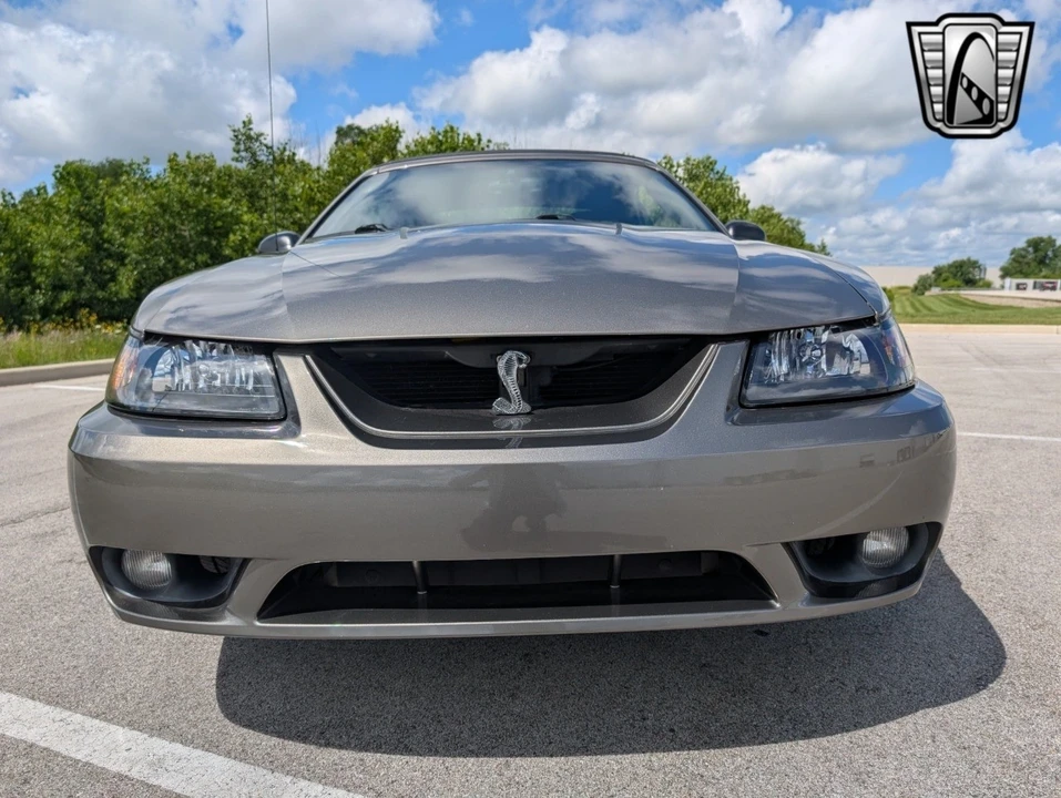 2001 Ford SN95 Mustang Cobra - Image 11 of 12