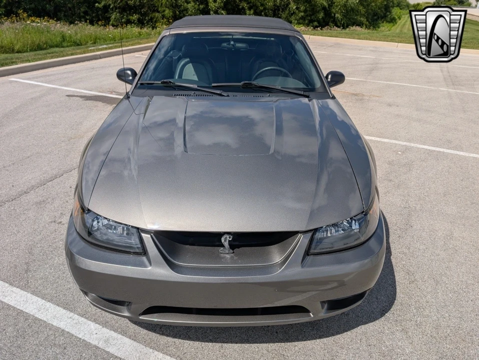 2001 Ford SN95 Mustang Cobra - Image 10 of 12