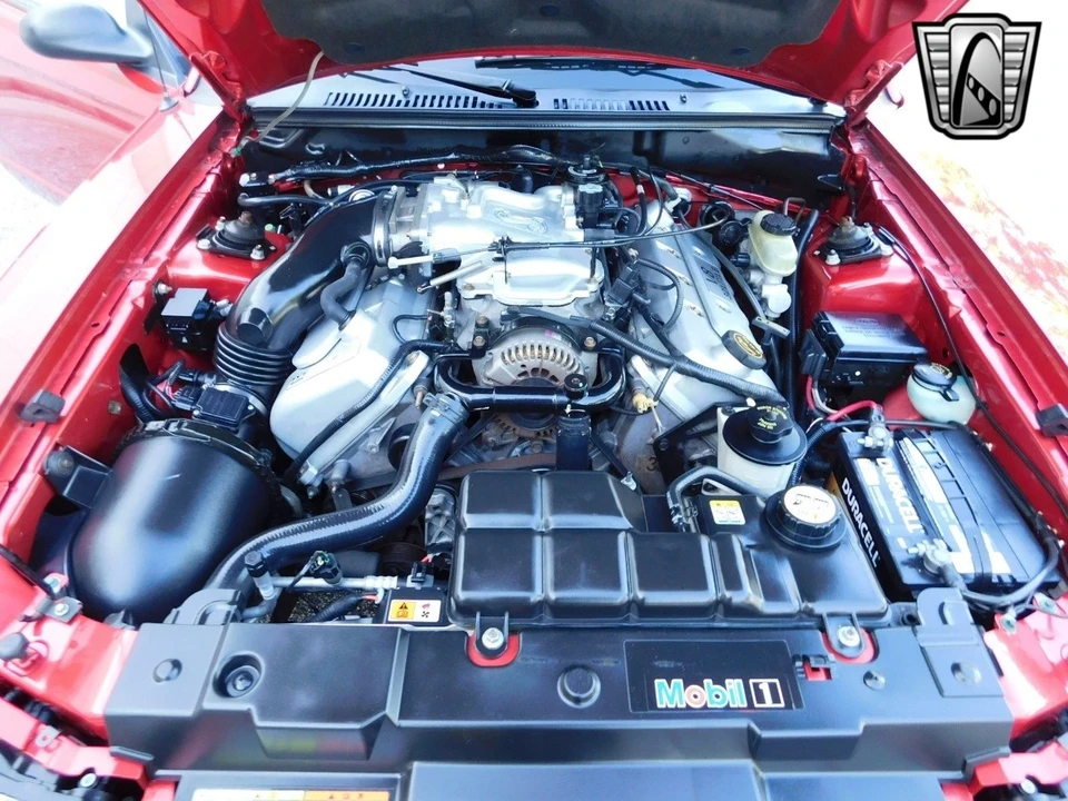 2001 Ford SN95 Mustang Cobra - Image 19 of 21
