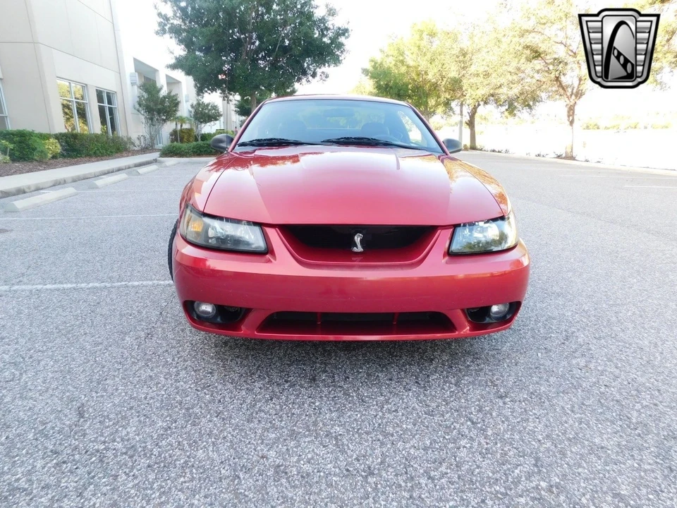 2001 Ford SN95 Mustang Cobra - Image 3 of 21