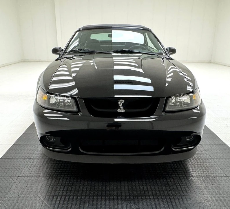 2001 Ford SN95 Mustang Cobra - Image 11 of 31