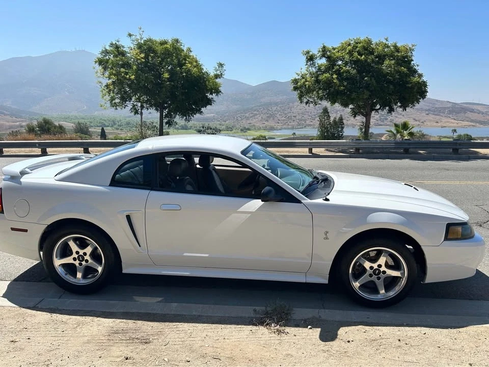 2001 Ford SN95 Mustang Cobra - Image 10 of 19