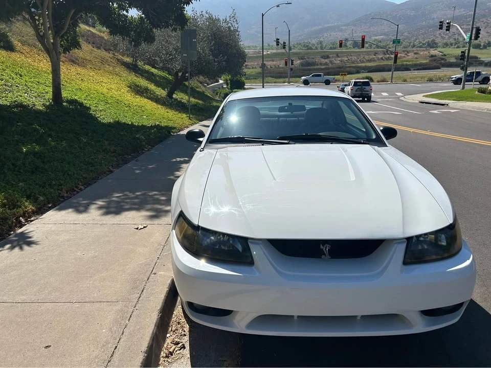 2001 Ford SN95 Mustang Cobra - Image 17 of 19