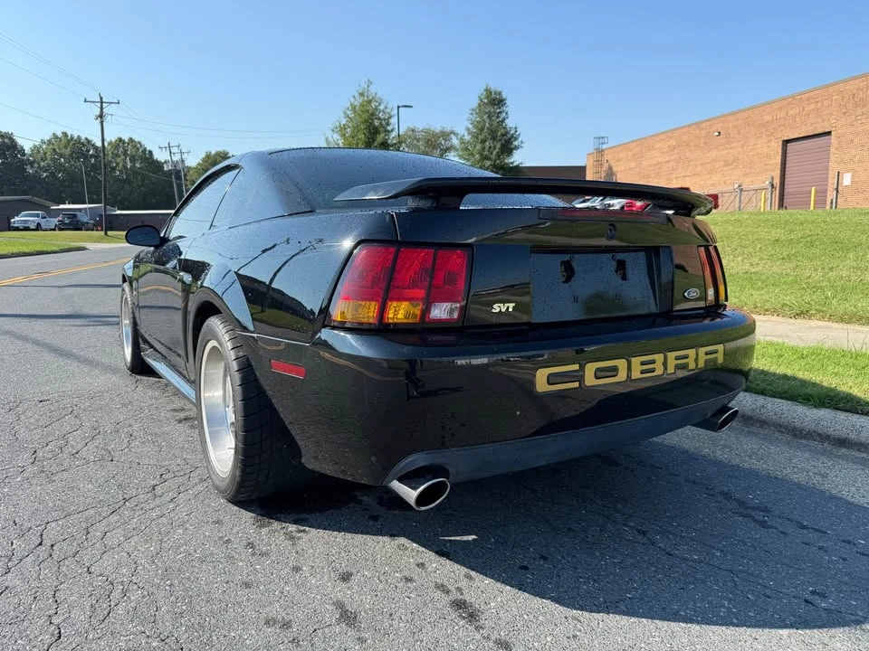 2001 Ford SN95 Mustang Cobra - Image 8 of 20
