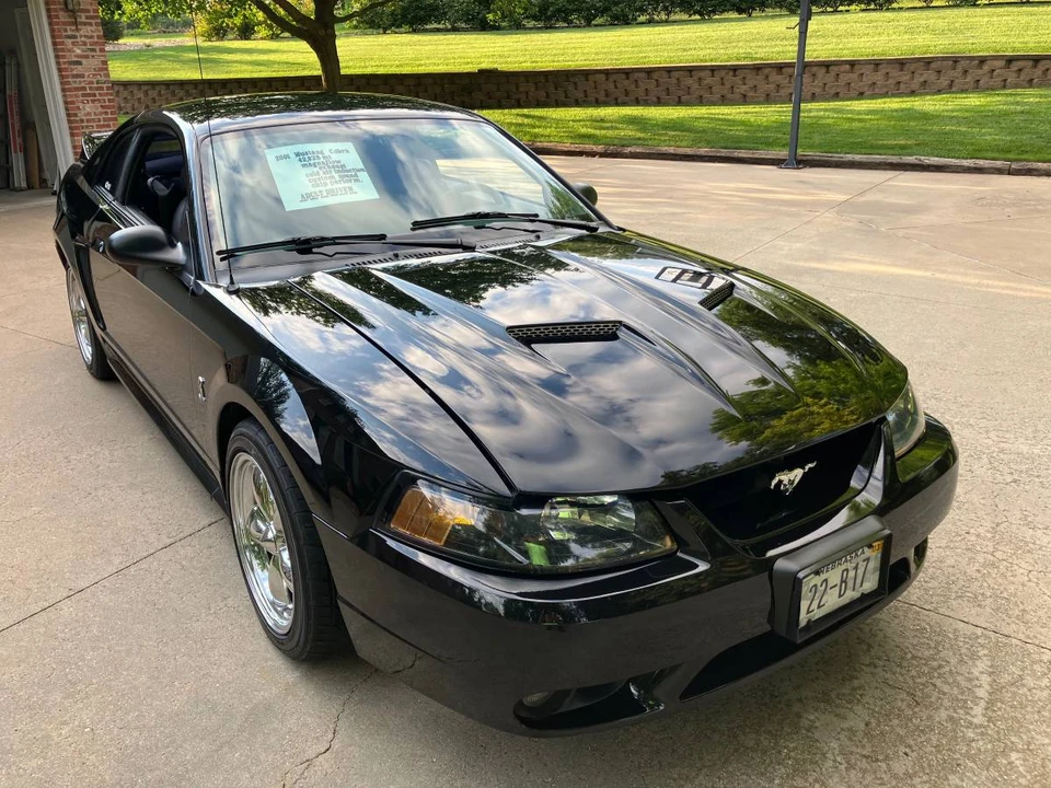2001 Ford SN95 Mustang Cobra - Image 15 of 20
