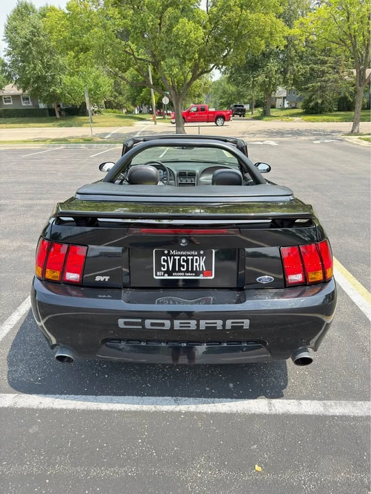 2001 Ford SN95 Mustang Cobra - Image 6 of 8