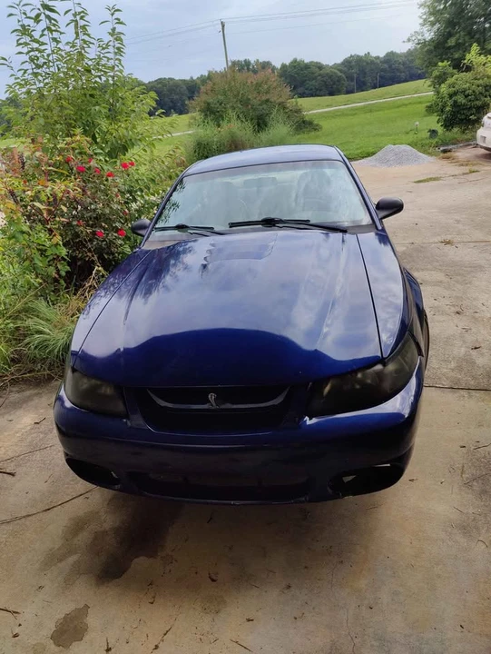 2001 Ford SN95 Mustang Cobra - Image 3 of 14