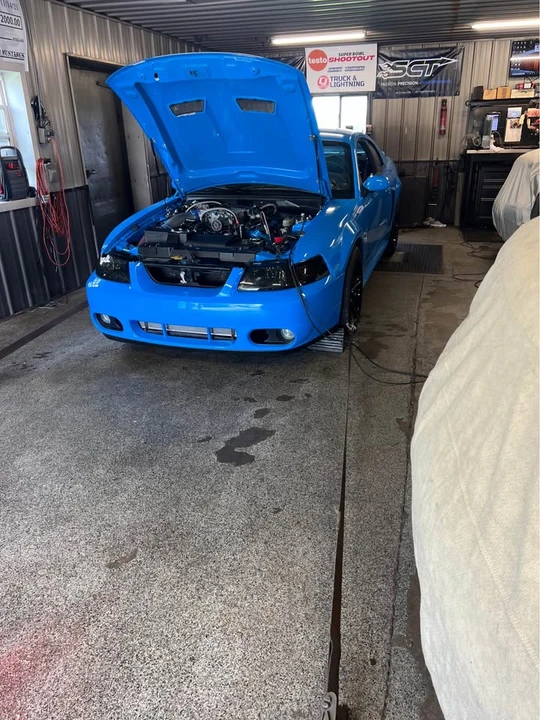 2001 Ford SN95 Mustang Cobra - Image 5 of 7
