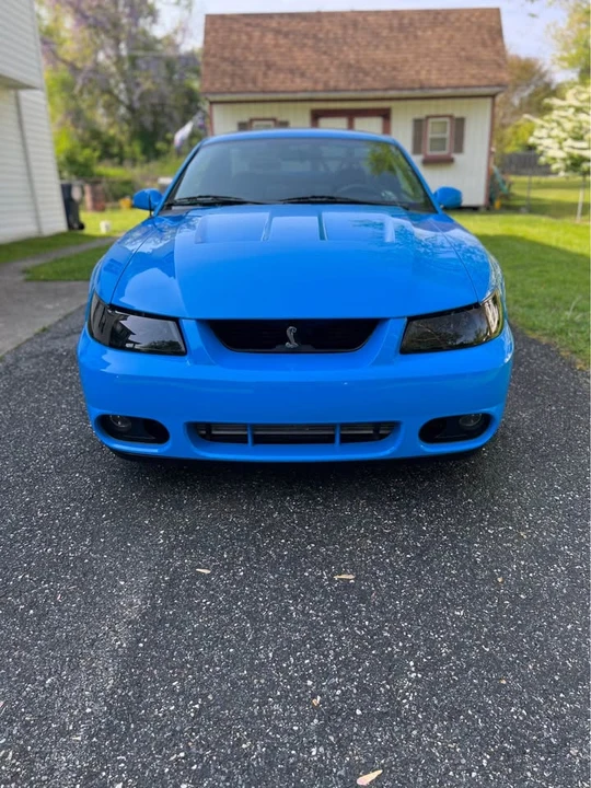 2001 Ford SN95 Mustang Cobra - Image 6 of 7