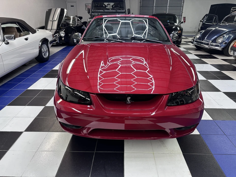 2001 Ford SN95 Mustang Cobra - Image 4 of 31