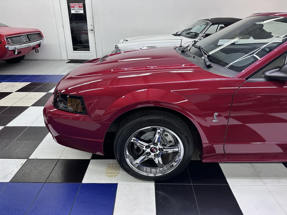 2001 Ford SN95 Mustang Cobra - Image 7 of 31