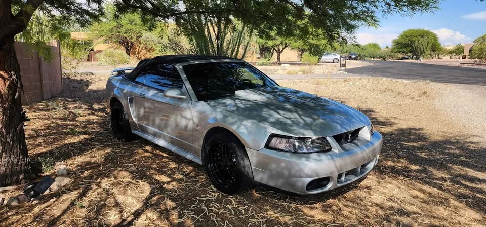 2001 Ford SN95 Mustang Cobra - Image 2 of 14