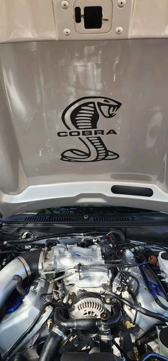 2001 Ford SN95 Mustang Cobra - Image 4 of 14