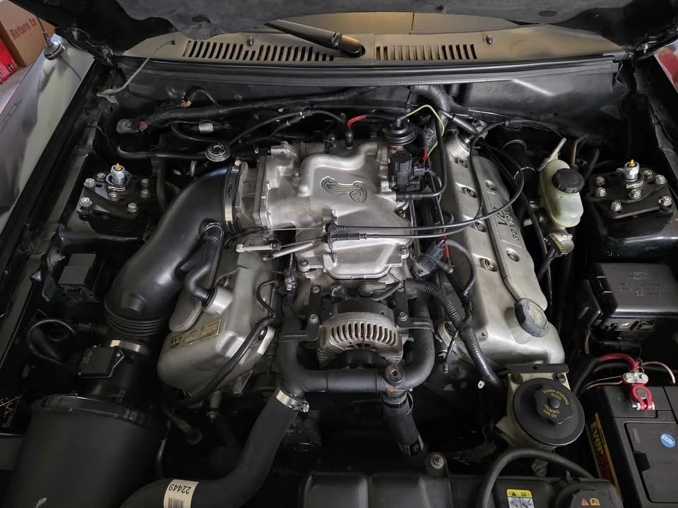 2001 Ford SN95 Mustang Cobra - Image 2 of 8