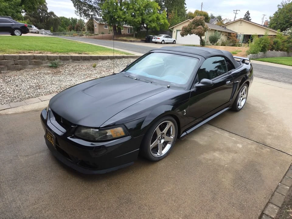 2001 Ford SN95 Mustang Cobra - Image 5 of 8