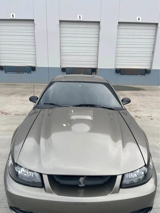 2001 Ford SN95 Mustang Cobra - Image 11 of 13