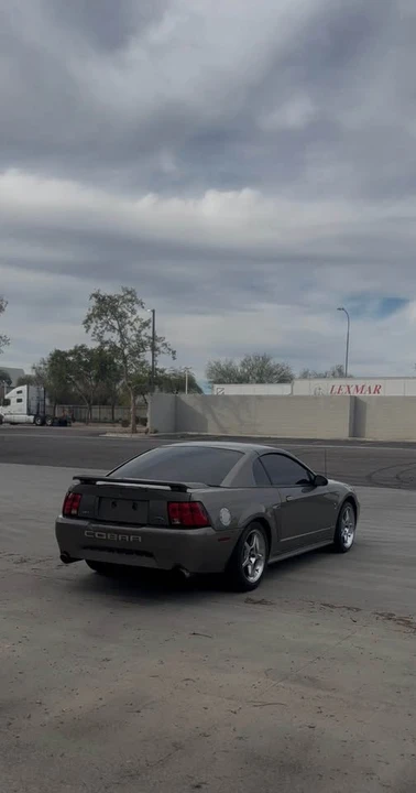 2001 Ford SN95 Mustang Cobra - Image 4 of 13