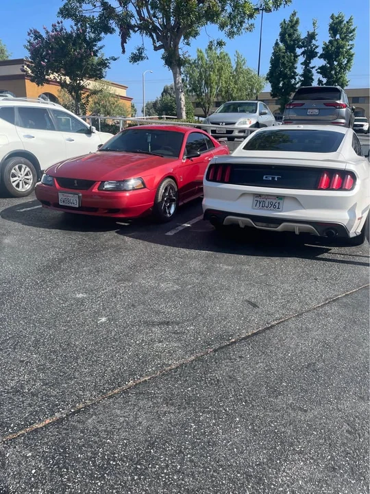 2001 Ford SN95 Mustang Cobra - Image 2 of 3